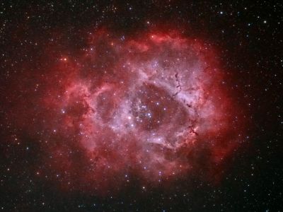 New Astronomy Section