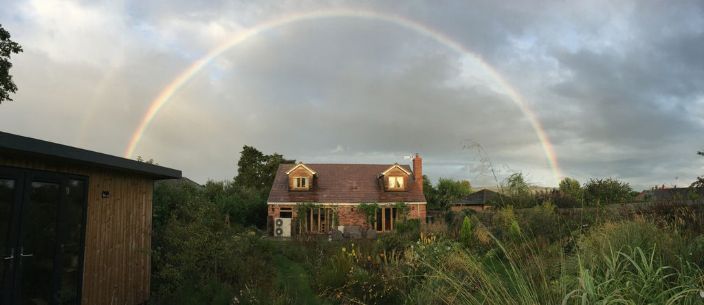 Coronavirus / Covid-19