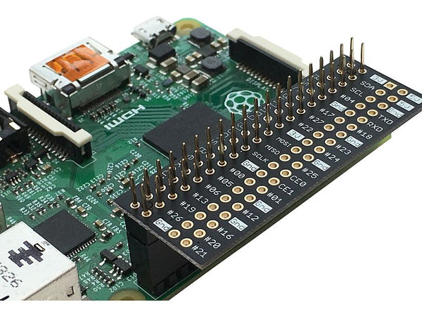 Custom Extended 40-pin 2x20 Female Header for Raspberry Pi